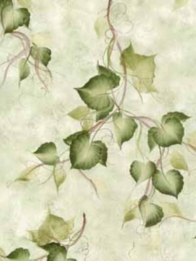 Donna Dewberry Ivy on Green Wallpaper 233 33974   